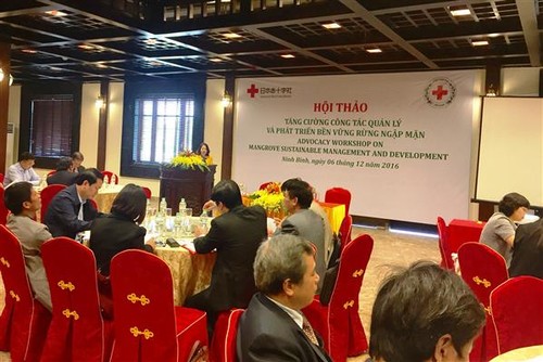 Vietnam unterstützt nachhaltige Entwicklung von Mangrovenwäldern - ảnh 1